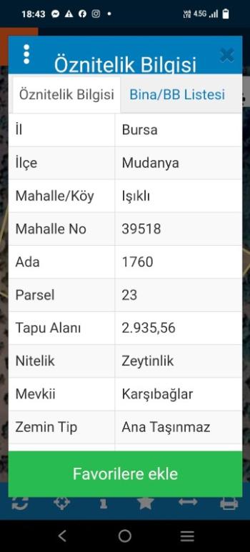 EMLAK HABERCİSİ 'NDEN MUDANYA EN YAKIN KÖYÜMÜZ IŞIKLI 'DA RESMİ YOLU OLAN ORMANA CEPHE 3 DÖNÜM SATILIK ZEYTİNLİK