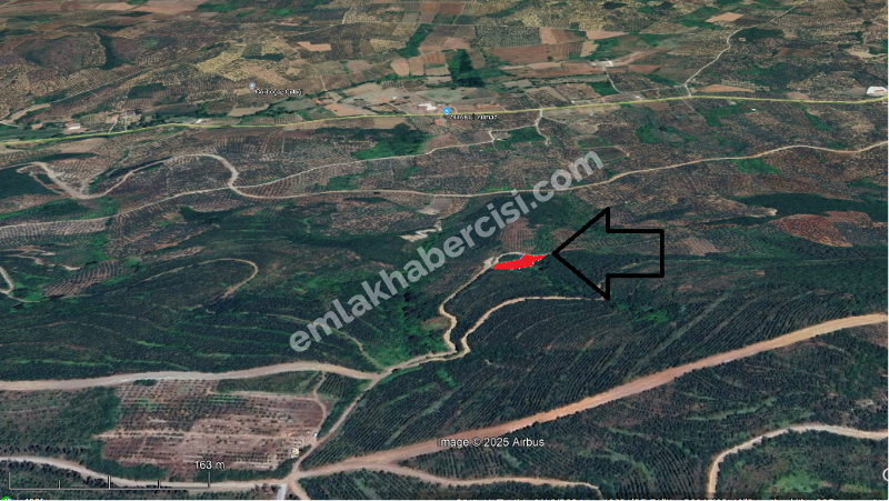EMLAK HABERCİSİ 'NDEN MUDANYA TALATBEY'DE KETENDERE TARAFINA CEPHE FULL DENİZ MANZARALI SATILIK 2 DÖNÜM ZEYTİNLİK