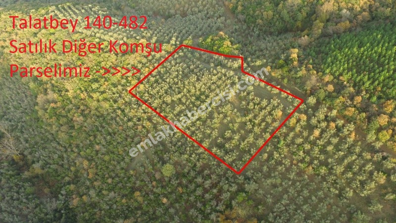 EMLAK HABERCİSİ 'NDEN MUDANYA TALATBEY'DE KETENDERE TARAFINA CEPHE FULL DENİZ MANZARALI SATILIK 2 DÖNÜM ZEYTİNLİK