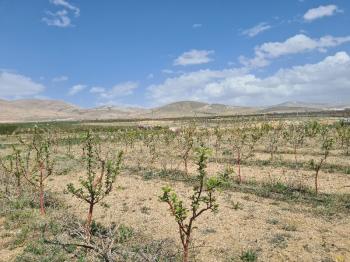 SAZLICA YENİ MAH. 4800M2 BAHÇE VE EV..