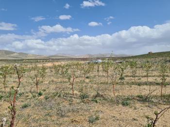 SAZLICA YENİ MAH. 4800M2 BAHÇE VE EV..