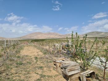 SAZLICA YENİ MAH. 4800M2 BAHÇE VE EV..