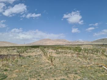 SAZLICA YENİ MAH. 4800M2 BAHÇE VE EV..