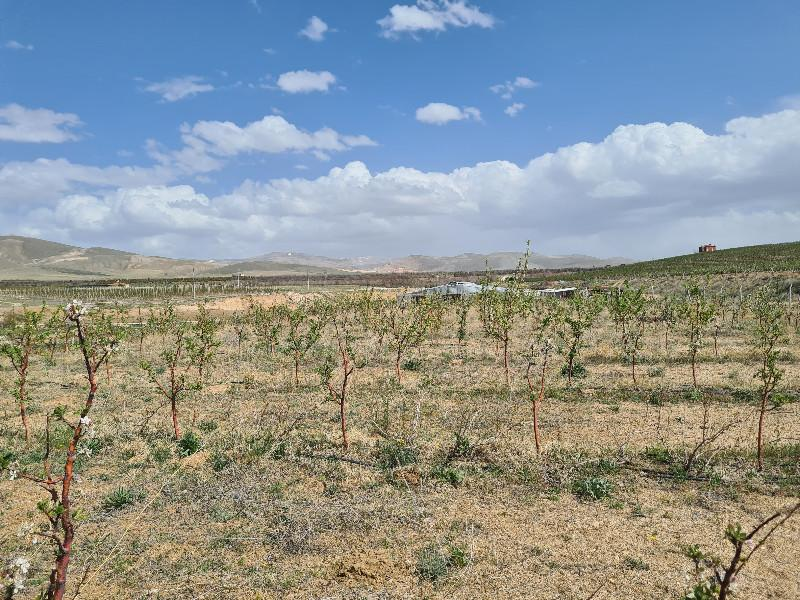 SAZLICA YENİ MAH. 4800M2 BAHÇE VE EV..