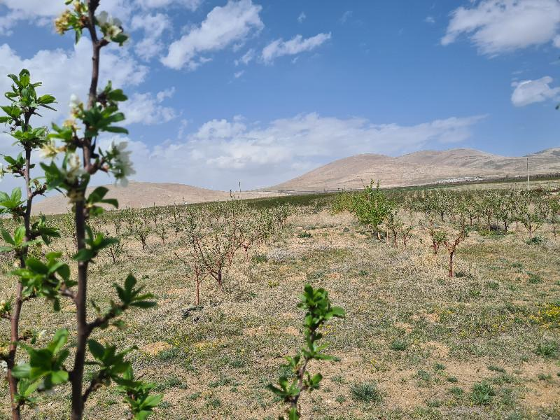SAZLICA YENİ MAH. 4800M2 BAHÇE VE EV..