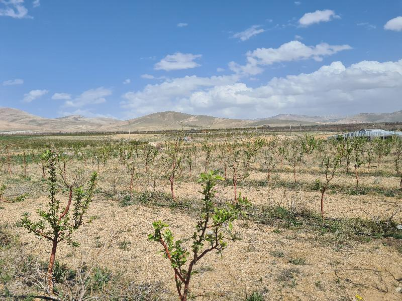 SAZLICA YENİ MAH. 4800M2 BAHÇE VE EV..