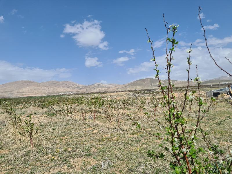 SAZLICA YENİ MAH. 4800M2 BAHÇE VE EV..