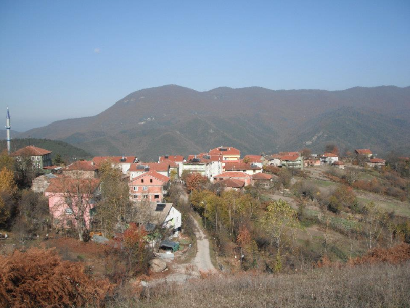 KARABÜK YENİCE MÜSTAKİL EV TAPU SAHİBİ PERTA EMLAK ÜMİT TAHMAZ