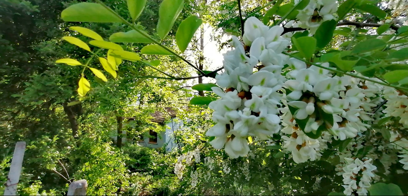 KARABÜK YENİCE MÜSTAKİL EV TAPU SAHİBİ PERTA EMLAK ÜMİT TAHMAZ