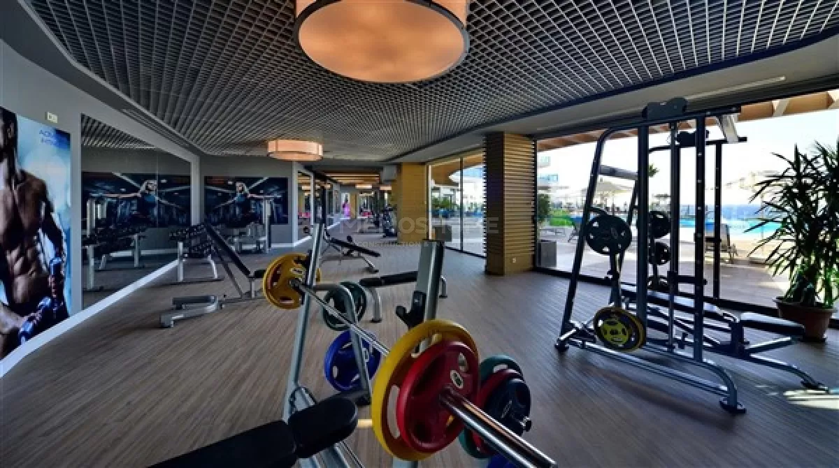 Elite Admiral 1+1 in Konakli