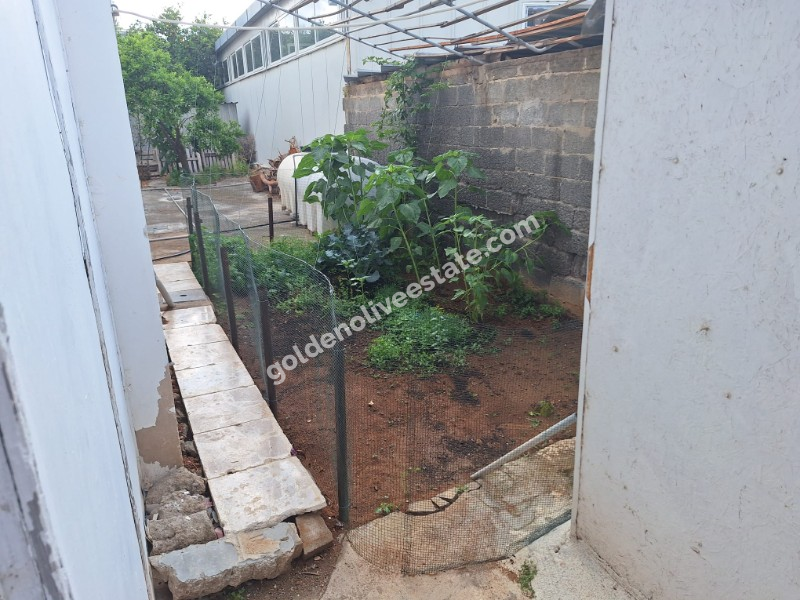 MAGUSA MARAS BOLGESİNDE SATALİK 3+1 DAİRE