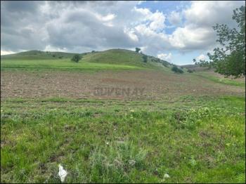 GÜVENAY- ÇORUM İMARA SINIR KURUÇAY YOLU SATILIK 5 DÖNÜM TARLA