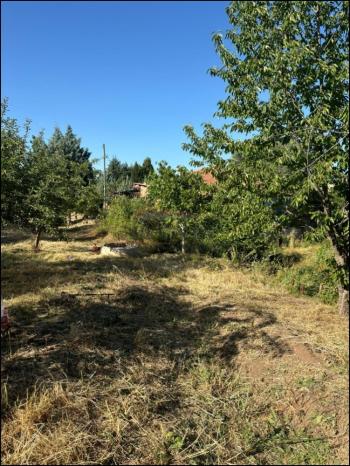 GÜVENAY - ÇORUM SARMAŞA MEVKİİ 500 M² SATILIK EVLİ HOBİ BAHÇESİ