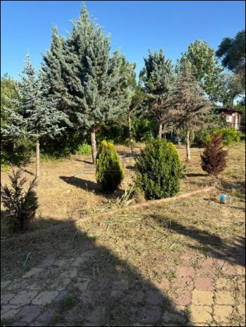 GÜVENAY - ÇORUM SARMAŞA MEVKİİ 500 M² SATILIK EVLİ HOBİ BAHÇESİ
