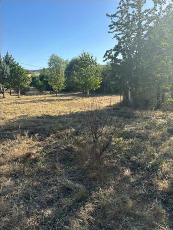 GÜVENAY - ÇORUM SARMAŞA MEVKİİ 500 M² SATILIK EVLİ HOBİ BAHÇESİ