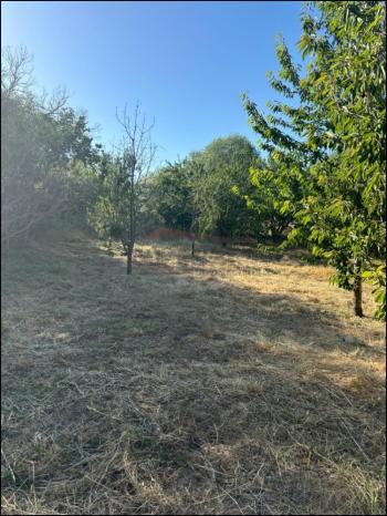 GÜVENAY - ÇORUM SARMAŞA MEVKİİ 500 M² SATILIK EVLİ HOBİ BAHÇESİ