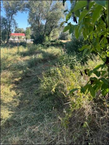 GÜVENAY - ÇORUM SARMAŞA MEVKİİ 500 M² SATILIK EVLİ HOBİ BAHÇESİ