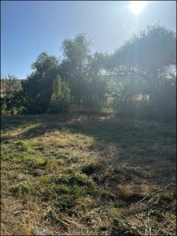 GÜVENAY - ÇORUM SARMAŞA MEVKİİ 500 M² SATILIK EVLİ HOBİ BAHÇESİ