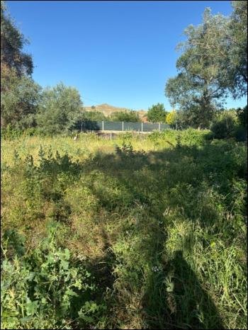 GÜVENAY - ÇORUM SARMAŞA MEVKİİ 500 M² SATILIK EVLİ HOBİ BAHÇESİ