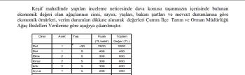KONYA İÇERİCUMRA MÜSTAKİL EV TAPU SAHİBİ PERTA EMLAK ÜMİT TAHMAZ