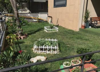 KOZYATAĞI ŞENESENEVLER MİNİBÜS CADDESİ 1.PARALEL FORSA SK 2+1