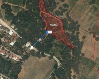 ULUDAĞDA, MİLLİ PARKA YAKIN HÜSEYİNALAN KÖYÜNDE FIRSAT ARAZİ