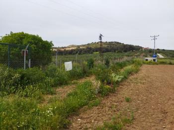 Foça Bağarası Yol Cepheli Satılık Tarla 