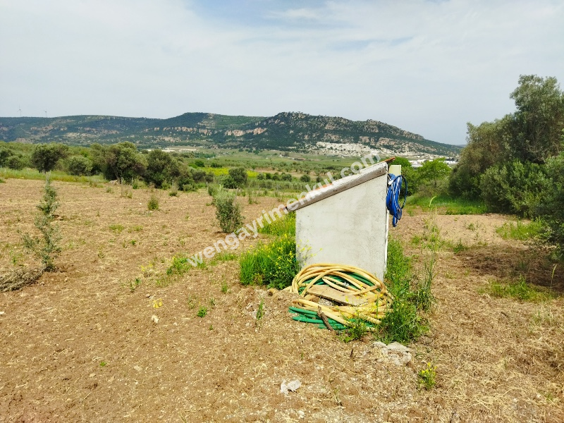 Foça Bağarası Yol Cepheli Satılık Tarla 