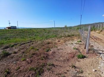 GÜVENAY - ÇORUM BARAJ MANZARALI SATILIK HOBİ BAHÇELERİ