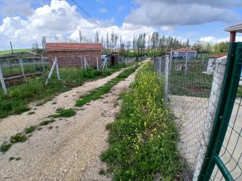 GÜVENAY – ÇORUM MERKEZ BUĞET CİVARI – 550 m² SATILIK HOBİ BAHÇESİ