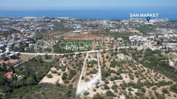Kıbrıs Girne Ozanköy Bölgesinde Yol Üzeri Satılık 4820 m2 Arazi 