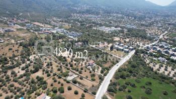 Kıbrıs Girne Ozanköy Bölgesinde Yol Üzeri Satılık 4820 m2 Arazi 