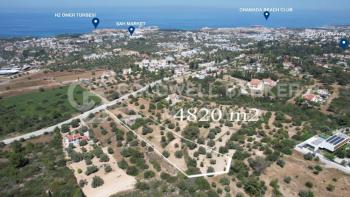 Kıbrıs Girne Ozanköy Bölgesinde Yol Üzeri Satılık 4820 m2 Arazi 