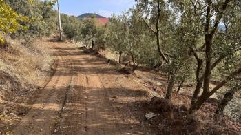 EMLAK HABERCİSİ'NDEN MUDANYA ÇEPNİ'DE ÇİFT RESMİ YOLU OLAN, ELEKTRİGİ ÖNÜNDE 460 M2 SATILIK ZEYTİNLİK