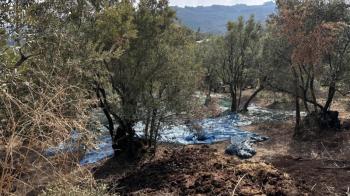 EMLAK HABERCİSİ'NDEN MUDANYA ÇEPNİ'DE ÇİFT RESMİ YOLU OLAN, ELEKTRİGİ ÖNÜNDE 460 M2 SATILIK ZEYTİNLİK