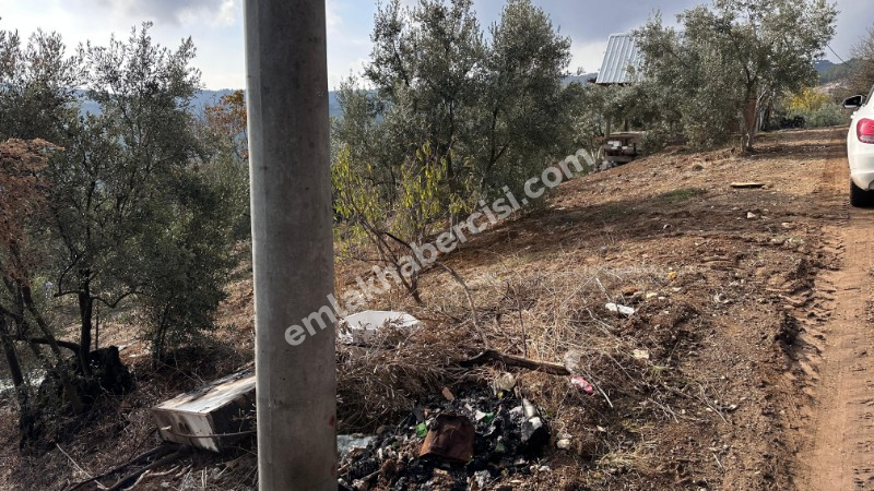 EMLAK HABERCİSİ'NDEN MUDANYA ÇEPNİ'DE ÇİFT RESMİ YOLU OLAN, ELEKTRİGİ ÖNÜNDE 460 M2 SATILIK ZEYTİNLİK