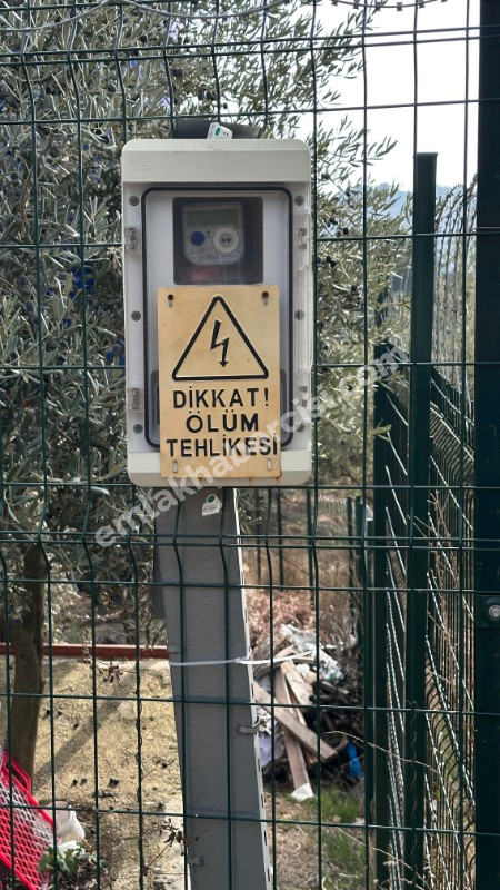 EMLAK HABERCİSİ'NDEN MUDANYA ÇEPNİ'DE ÇİFT RESMİ YOLU OLAN, ELEKTRİGİ ÖNÜNDE 460 M2 SATILIK ZEYTİNLİK