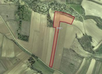 GÖRMEDEN GEÇMEYİN ! SAKARYA TARAKLIDA MÜSTAKİL TOPLAM 32.310 m2 TAKASA AÇIK ARAZİ