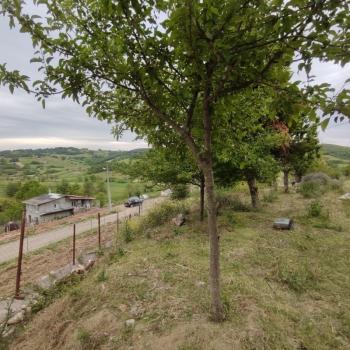 İZMİT/ KAYNARCA MAHALLESİ SATILIK 2.225 M2 ARSA