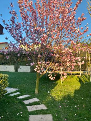 Çekmeköy Greenland Sitesi Büyük Bahçeli 5+2 Köşe Villa
