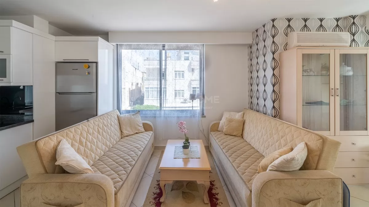 Begonia квартира 2+1