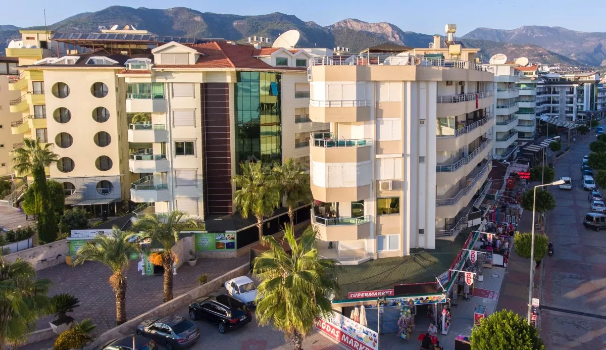 Begonia квартира 2+1