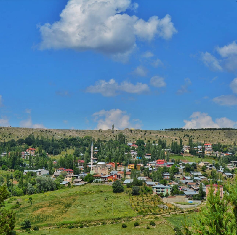 GİRESUN ALUCRA MÜSTAKİL EV TAPU SAHİBİ PERTA EMLAK ÜMİT TAHMAZ