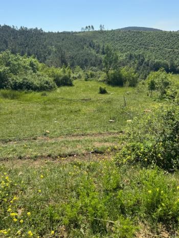 DijitalEmlak'tan Orhaneli Çınarcık köyünde Ful MAnzaralı Yola cephe 8.680 m2 Satılık Kıymetli Arazi.