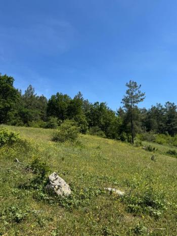 DijitalEmlak'tan Orhaneli Çınarcık köyünde Ful MAnzaralı Yola cephe 8.680 m2 Satılık Kıymetli Arazi.