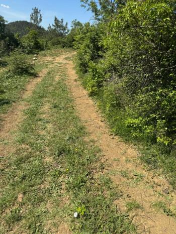 DijitalEmlak'tan Orhaneli Çınarcık köyünde Ful MAnzaralı Yola cephe 8.680 m2 Satılık Kıymetli Arazi.