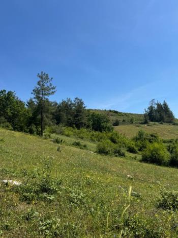 DijitalEmlak'tan Orhaneli Çınarcık köyünde Ful MAnzaralı Yola cephe 8.680 m2 Satılık Kıymetli Arazi.