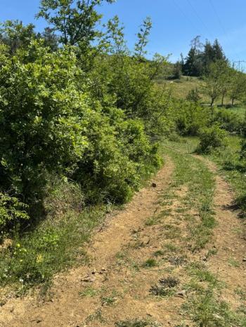DijitalEmlak'tan Orhaneli Çınarcık köyünde Ful MAnzaralı Yola cephe 8.680 m2 Satılık Kıymetli Arazi.