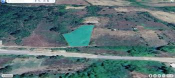 DijitalEmlak'tan Orhaneli Çınarcık köyünde Ful MAnzaralı Yola cephe Satılık 1.000 m2 Kıymetli Arazi.