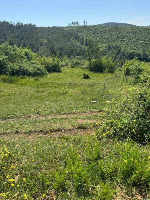 DijitalEmlak'tan Orhaneli Çınarcık köyünde Ful MAnzaralı Yola cephe 8.680 m2 Satılık Kıymetli Arazi.